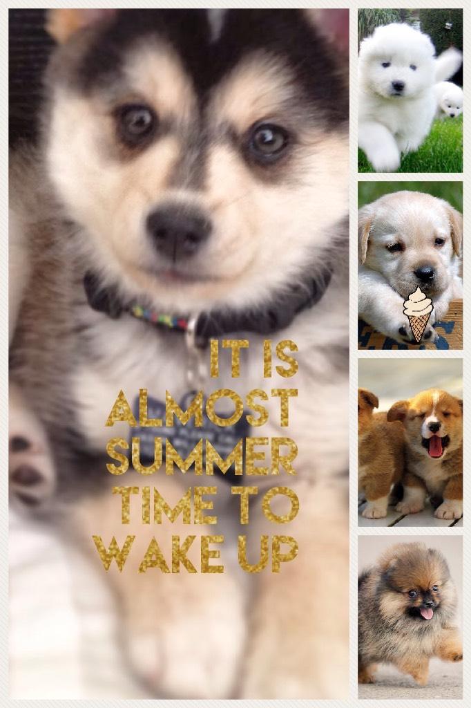 It is almost summer time to wake up