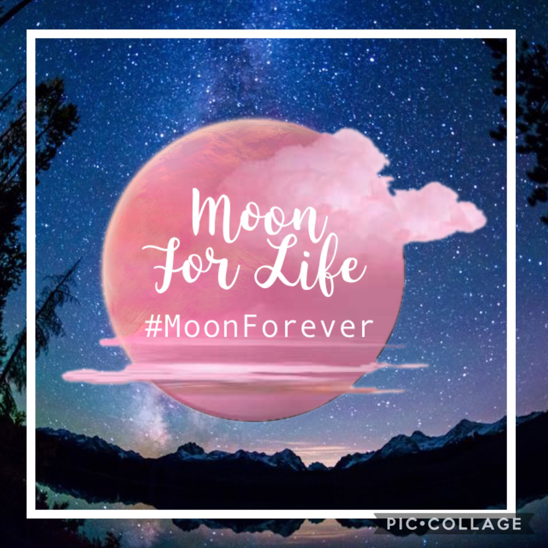 #MoonForever #SunOrMoon #Moon🌕