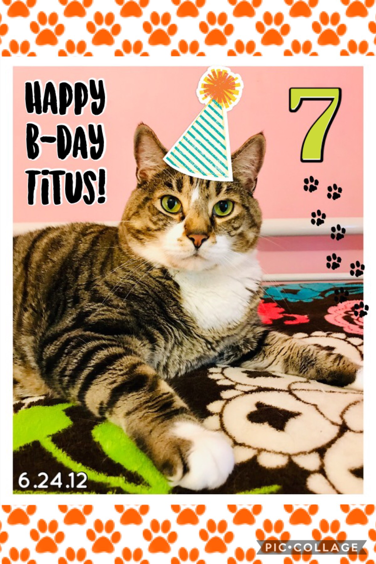My cat’s 7th birthday was on Monday! 🥳 🐾 7️⃣ 🐈 💚 🧶 🎂 (I made this then but had issues posting it. 😤 ) We’ve had him since he was born and he’s the sweetest, also very overweight if you can’t tell. 😂 📅 I couldn’t ask for a better cat, I love him so much. 🥰