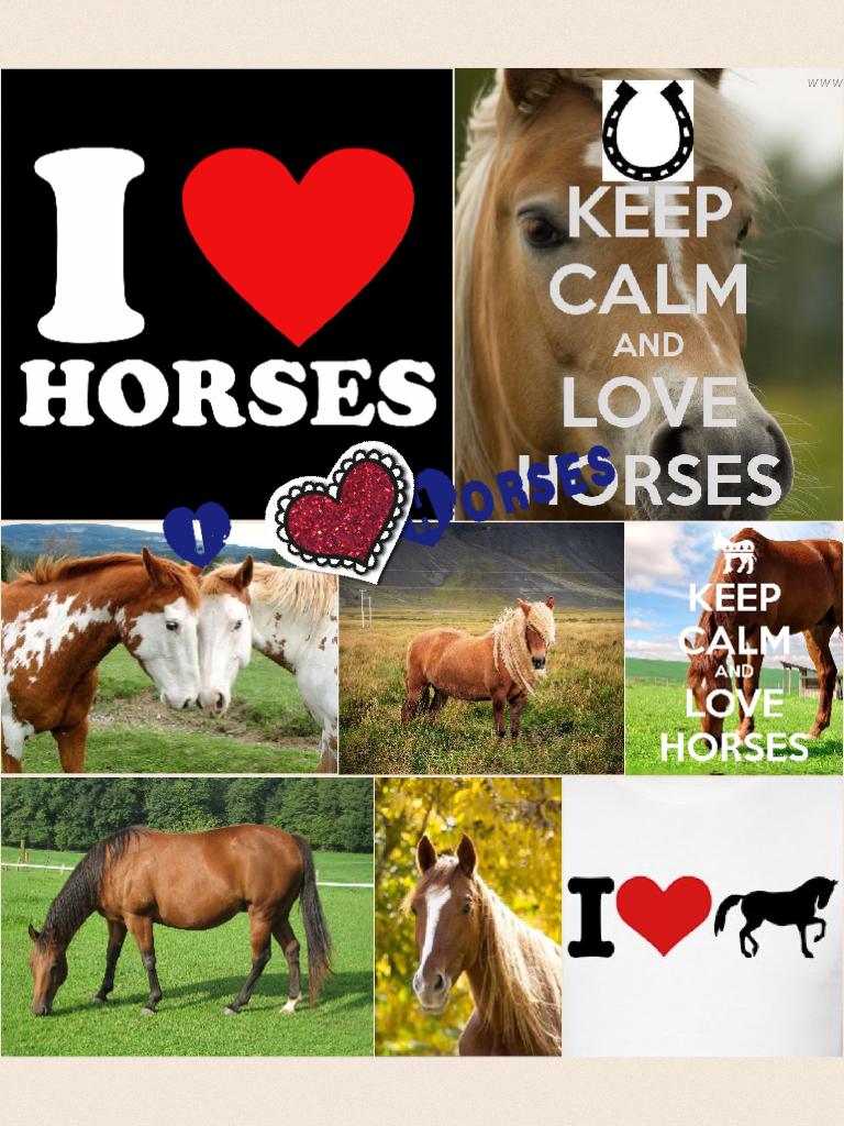 Horses I love horses you to ???????