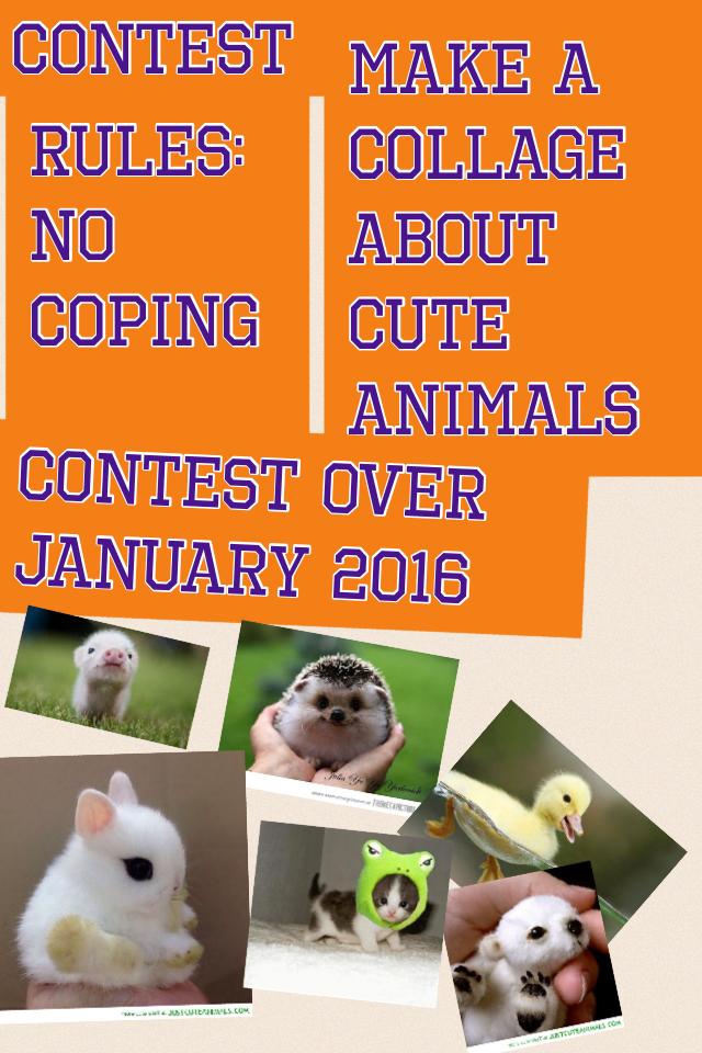 Contest over January 2016