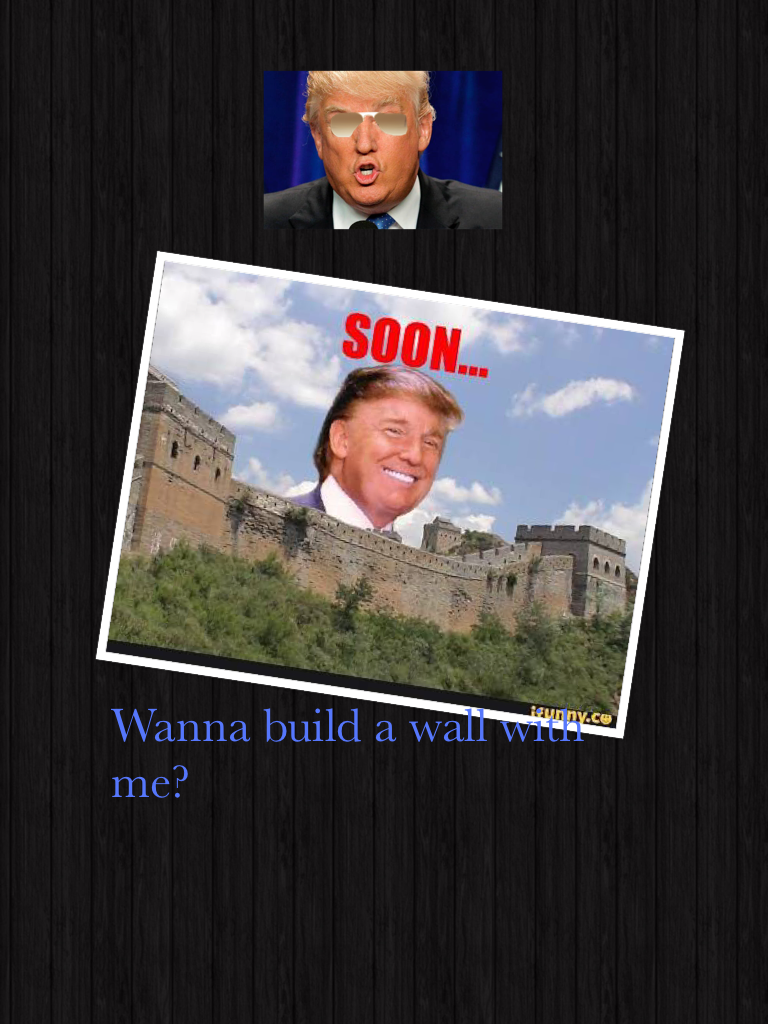 Wanna build a wall with me?