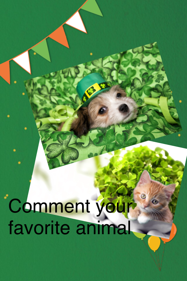 Comment your favorite animal!