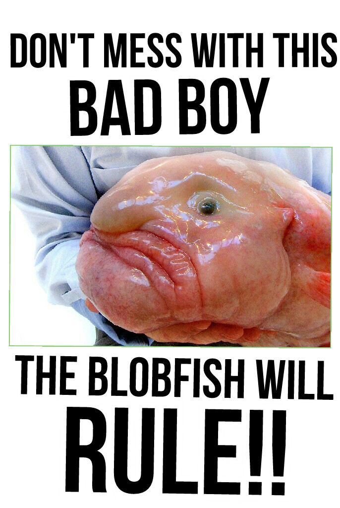 the blobfish will rule!!