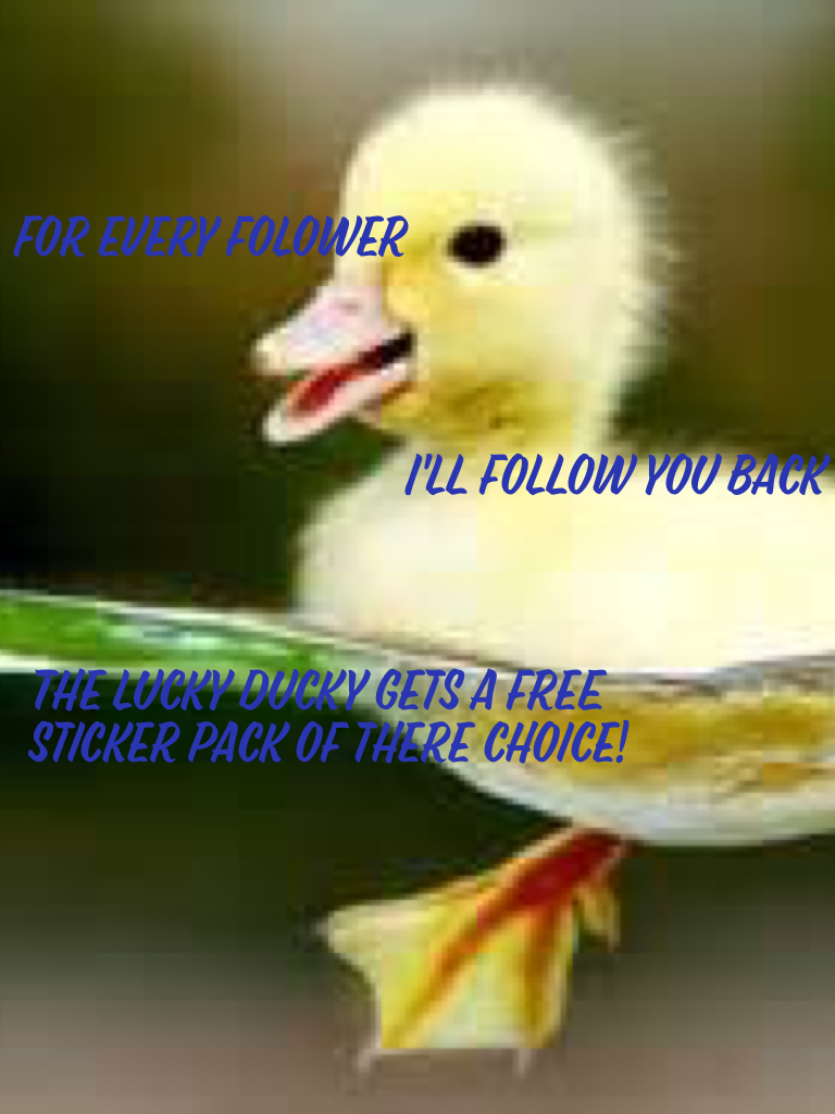 The lucky ducky gets a free sticker pack of there choice!