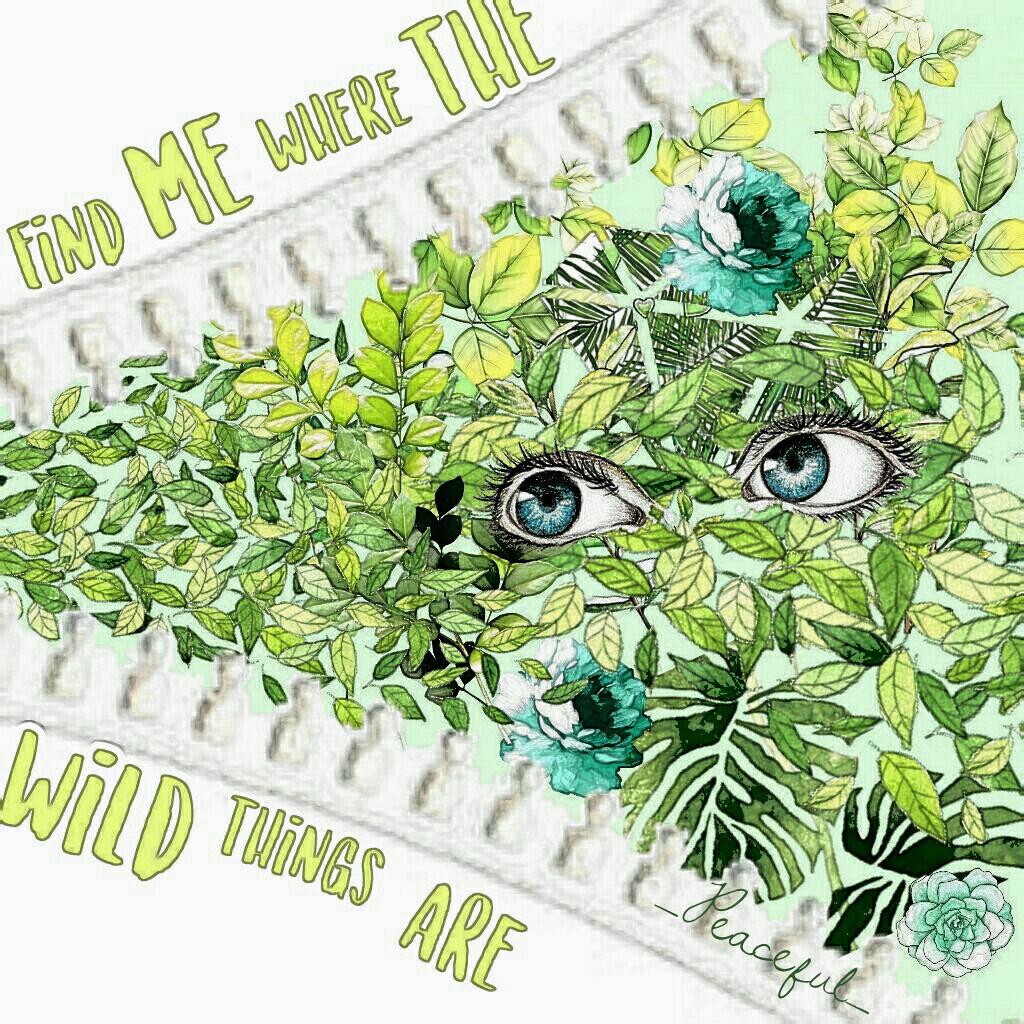 Tap💚💚💚
Seconed collage 
What do you think?💖
This is inspired by my sister - 0Cloud0! Go follow her!😊😊😊
Lyrics: Alessia cara! I love her she is amazing😍
