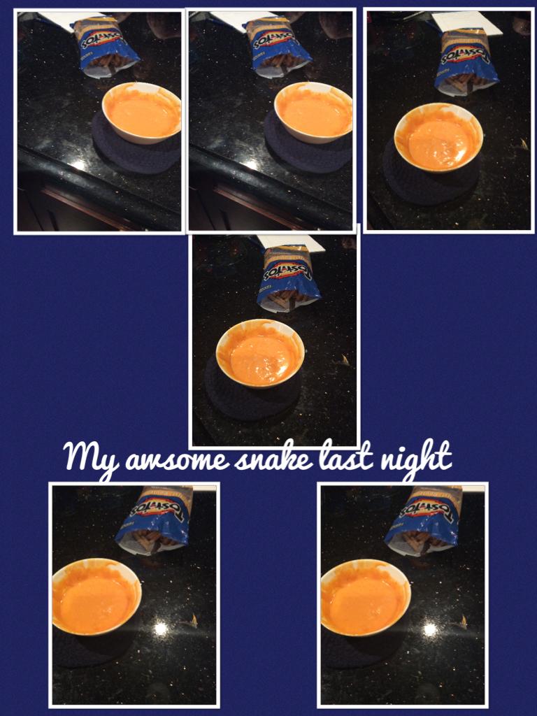 My awsome snake last night 