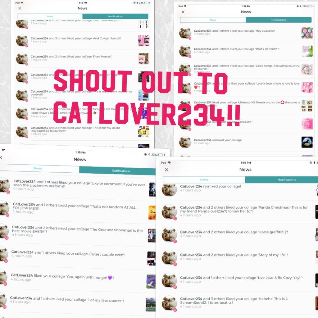 Shout out to Catlover234!!