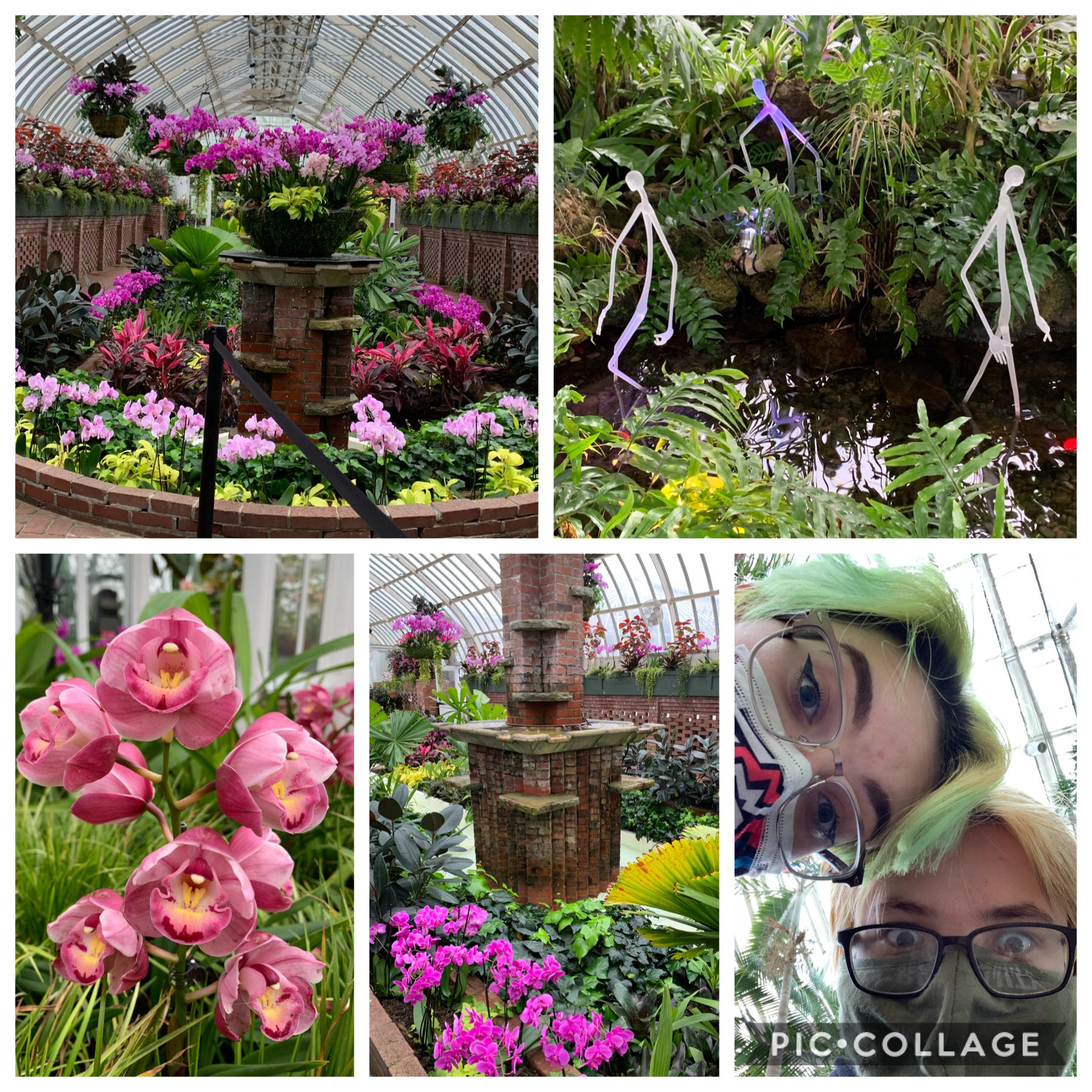 went to a conservatory w my bf wwhat th homk 😧😧😱