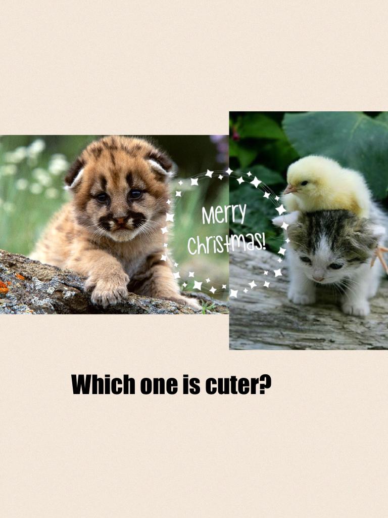 Which one is cuter?