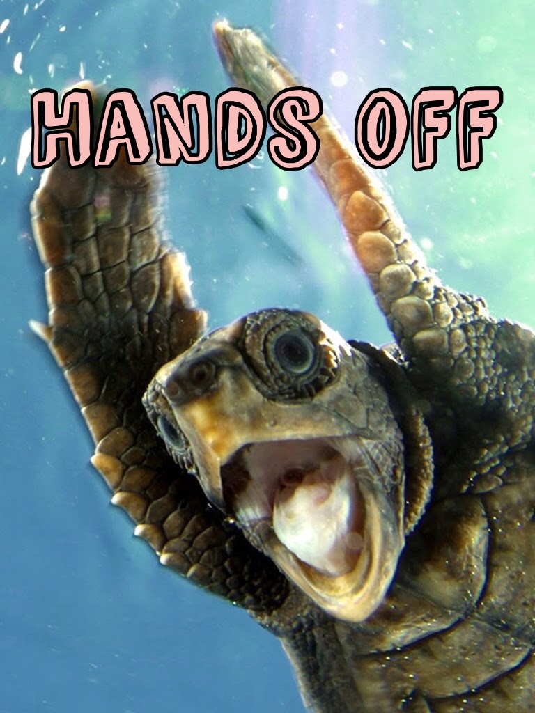 Hands off 