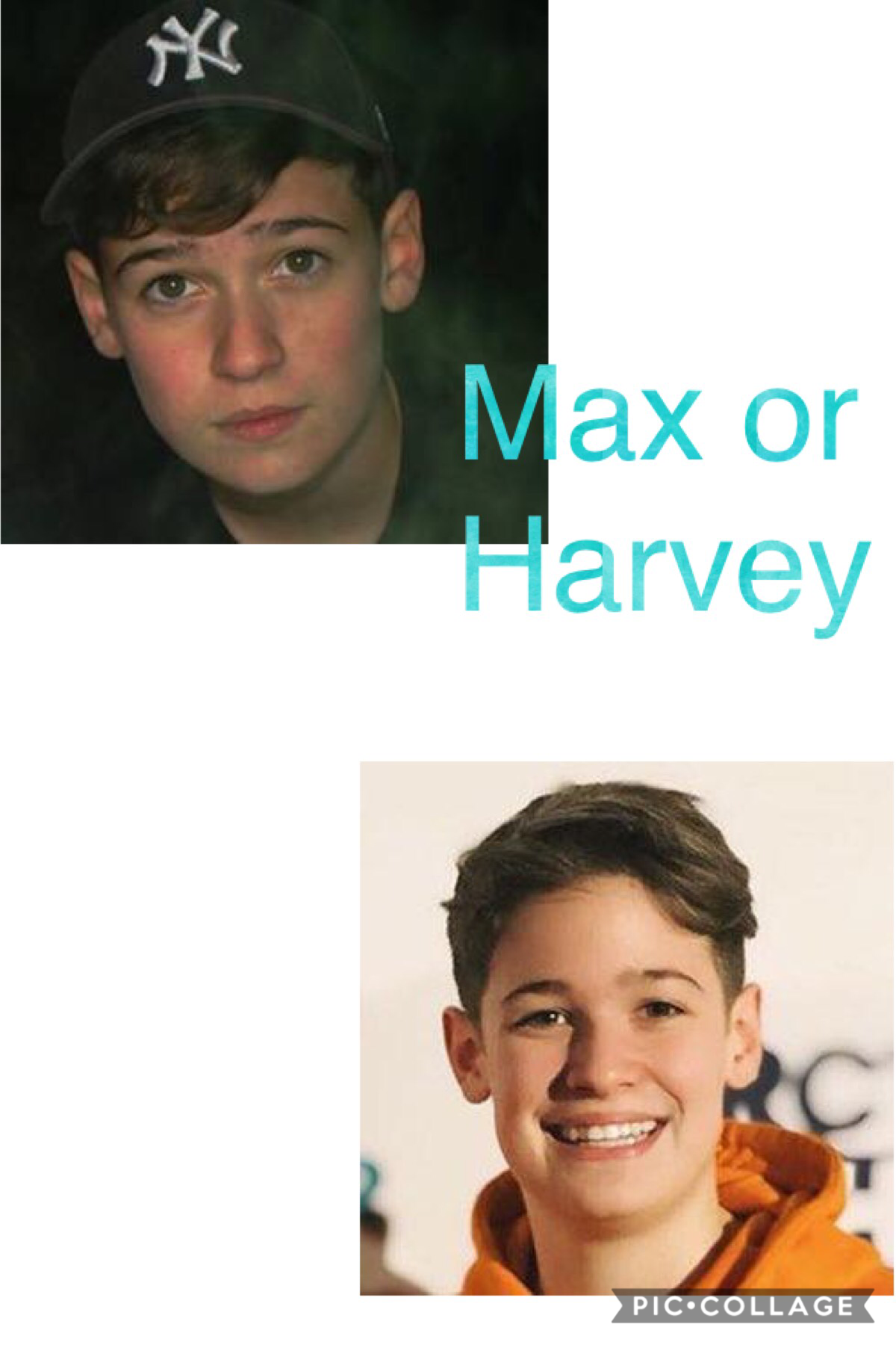Max or Harvey 