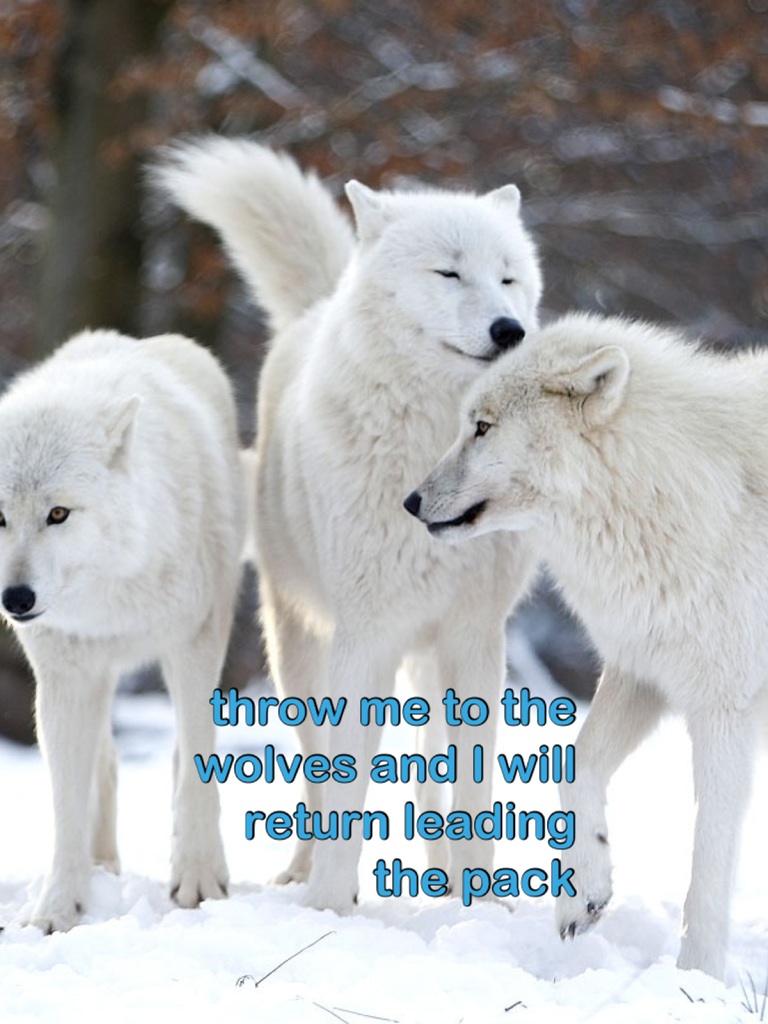 throw me to the wolves and I will return leading the pack