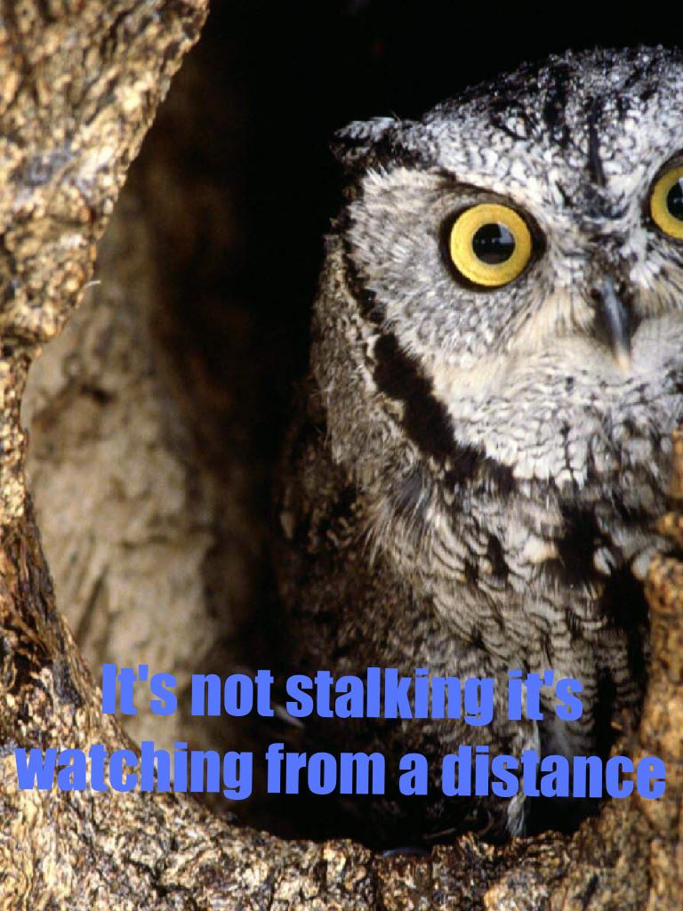 It's not stalking it's watching from a distance... I don't know what's so confusing about the truth 🤗😜