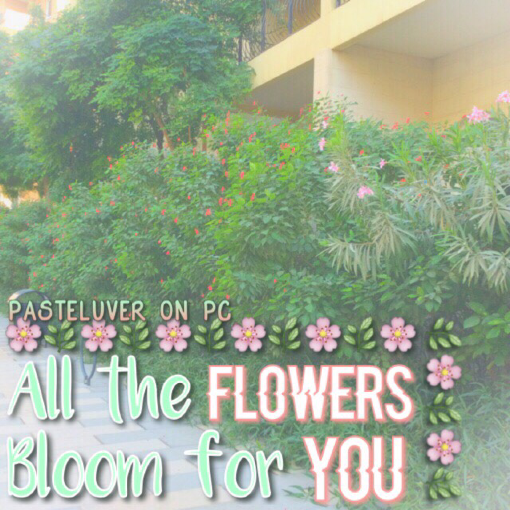 🌿🌸tap here 🌸🌿
Hello guys! I don't really know what to caption this😂, btw the background is a photo taken by me. But obviously I put a filter on the collage. Hope you like this!😌🌸🌿✨