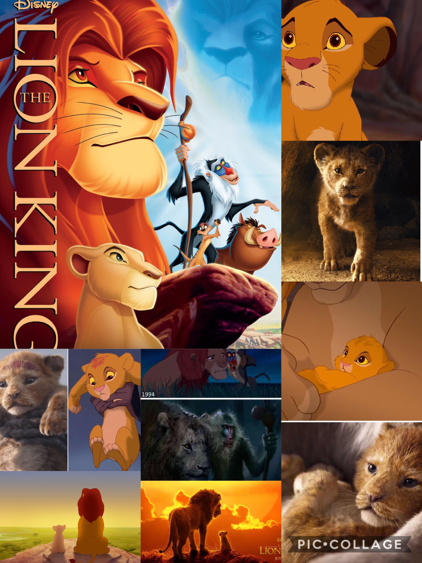 The Lion king 
