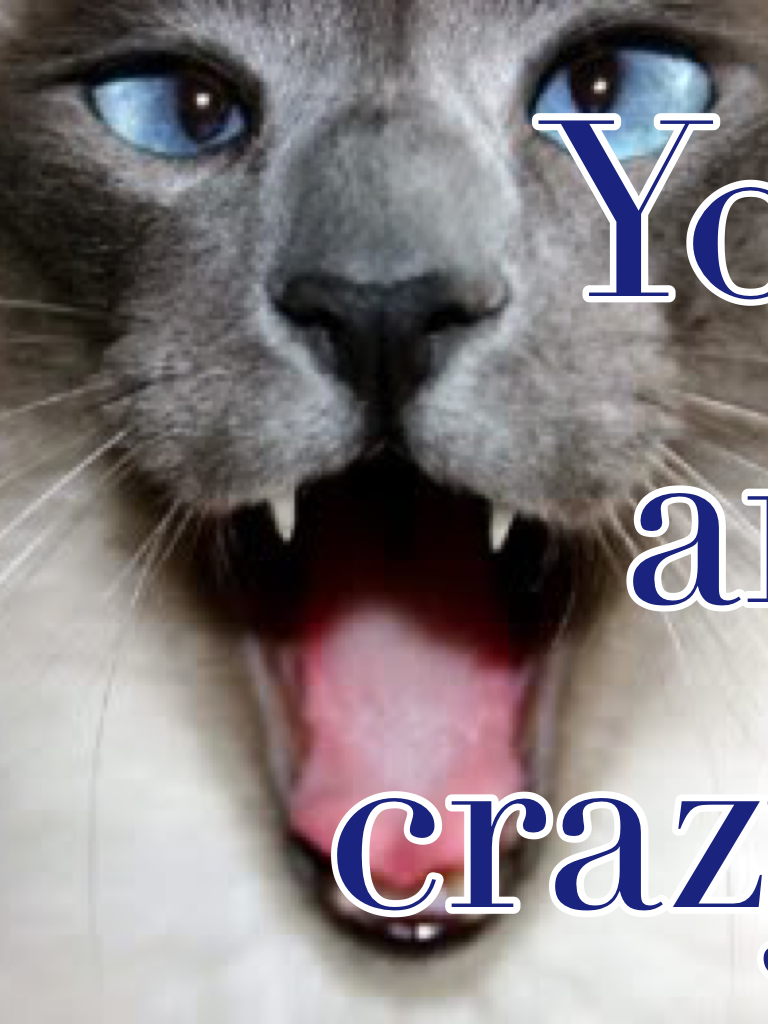 You are crazy!