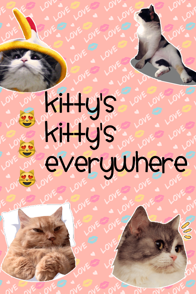 😻😻😻yay for kitty kats