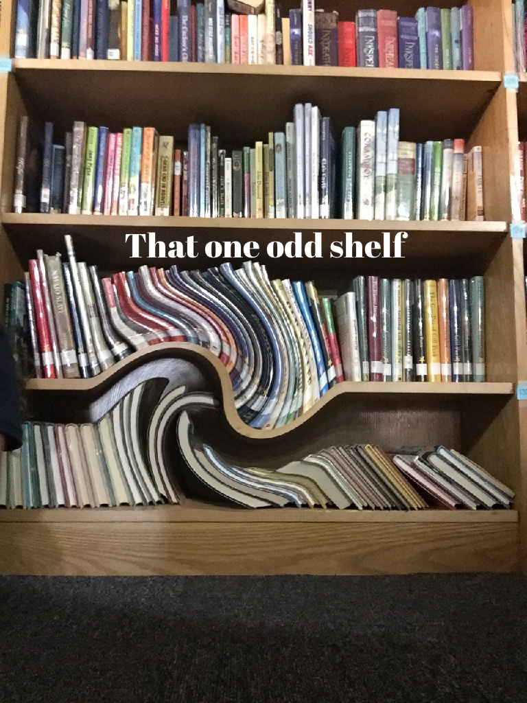 That one odd shelf...📚