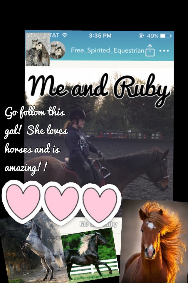 Go follow this gal! She loves horses and is amazing!!