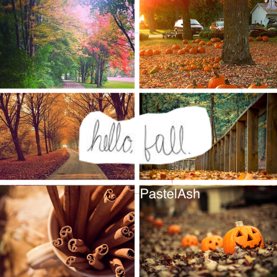 Loving fall so far TAP
Credits and Inspo by:ASTRID_SAENZ