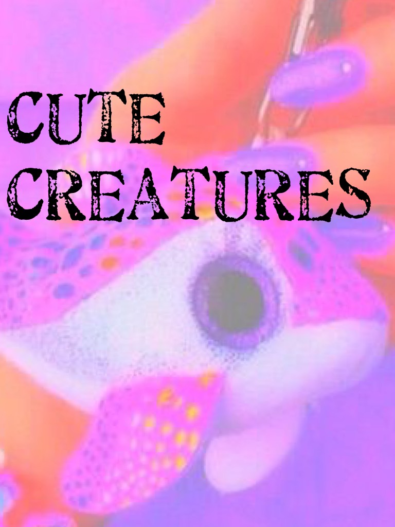 Cute creatures