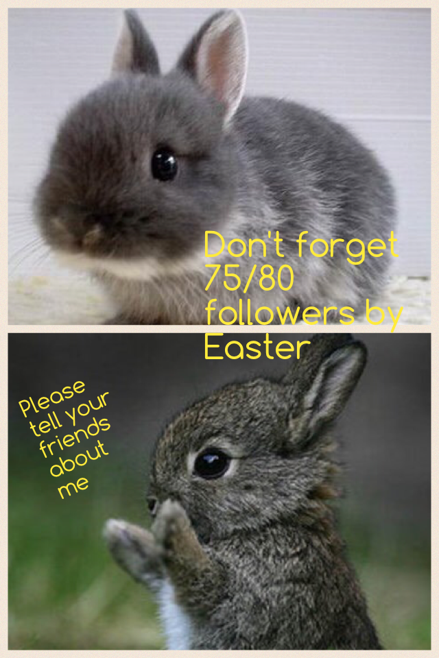 Don't forget 75/80 followers by Easter 
