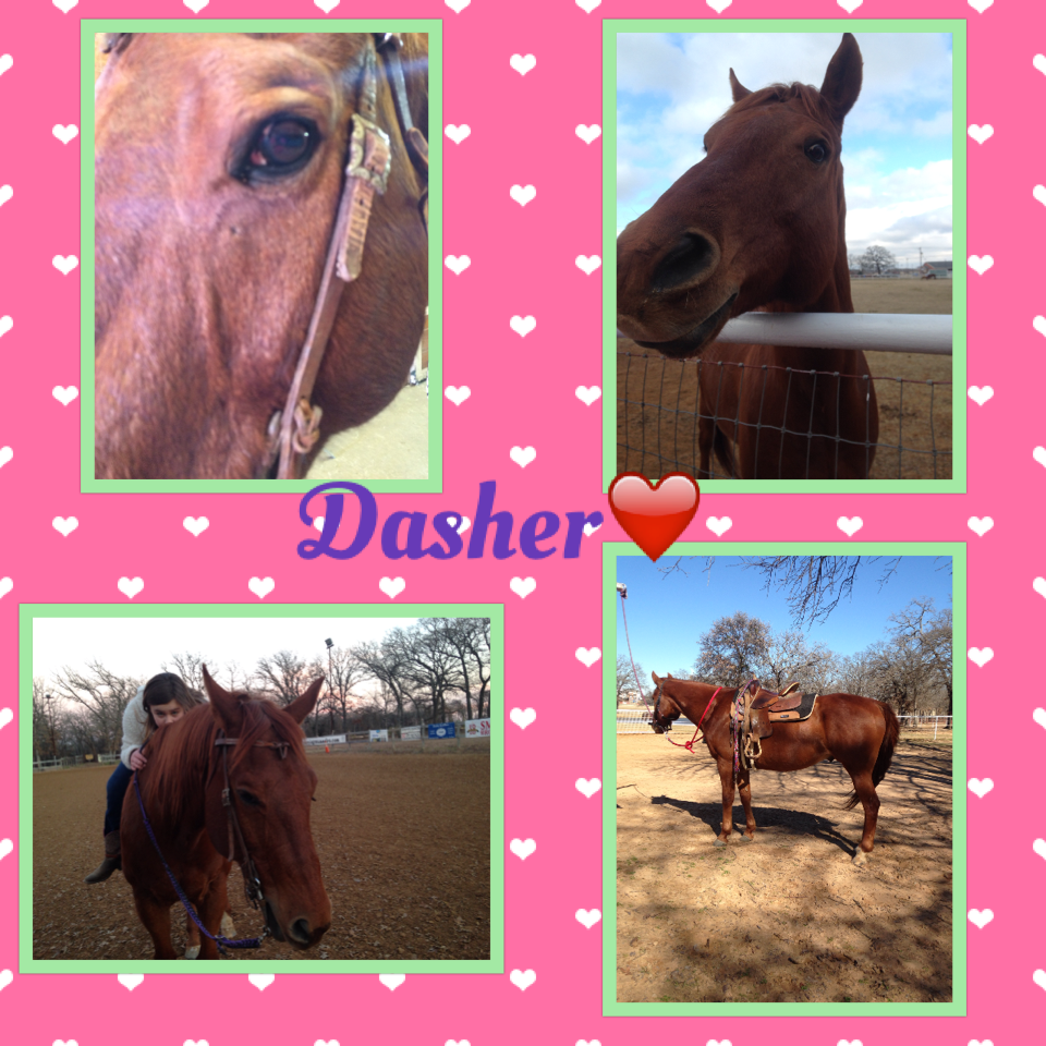 Dasher❤️

I am a barrel racer, and this is my amazing horse Dasher!