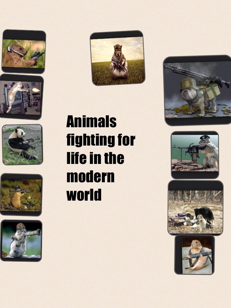 Animals fighting for life in the modern world