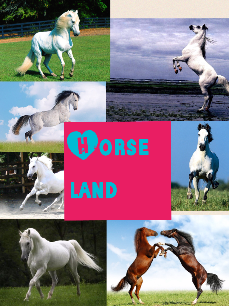 Horse land