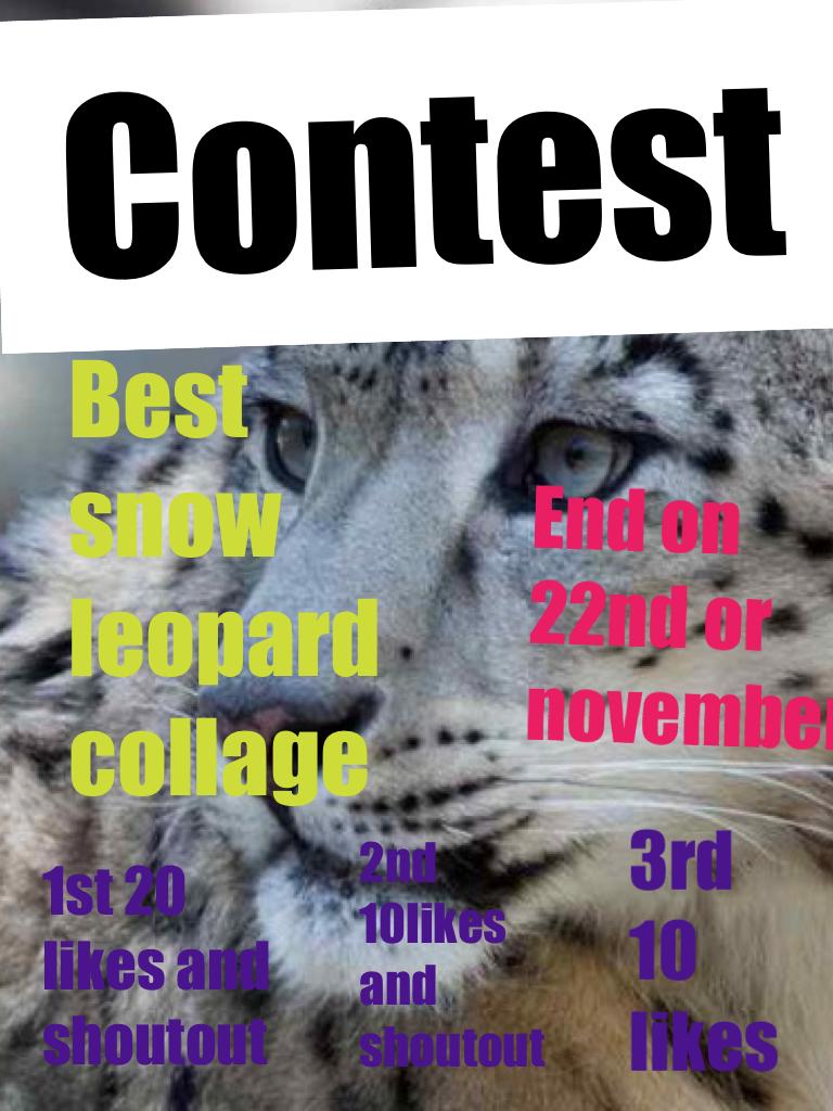 Contest!!! 💎