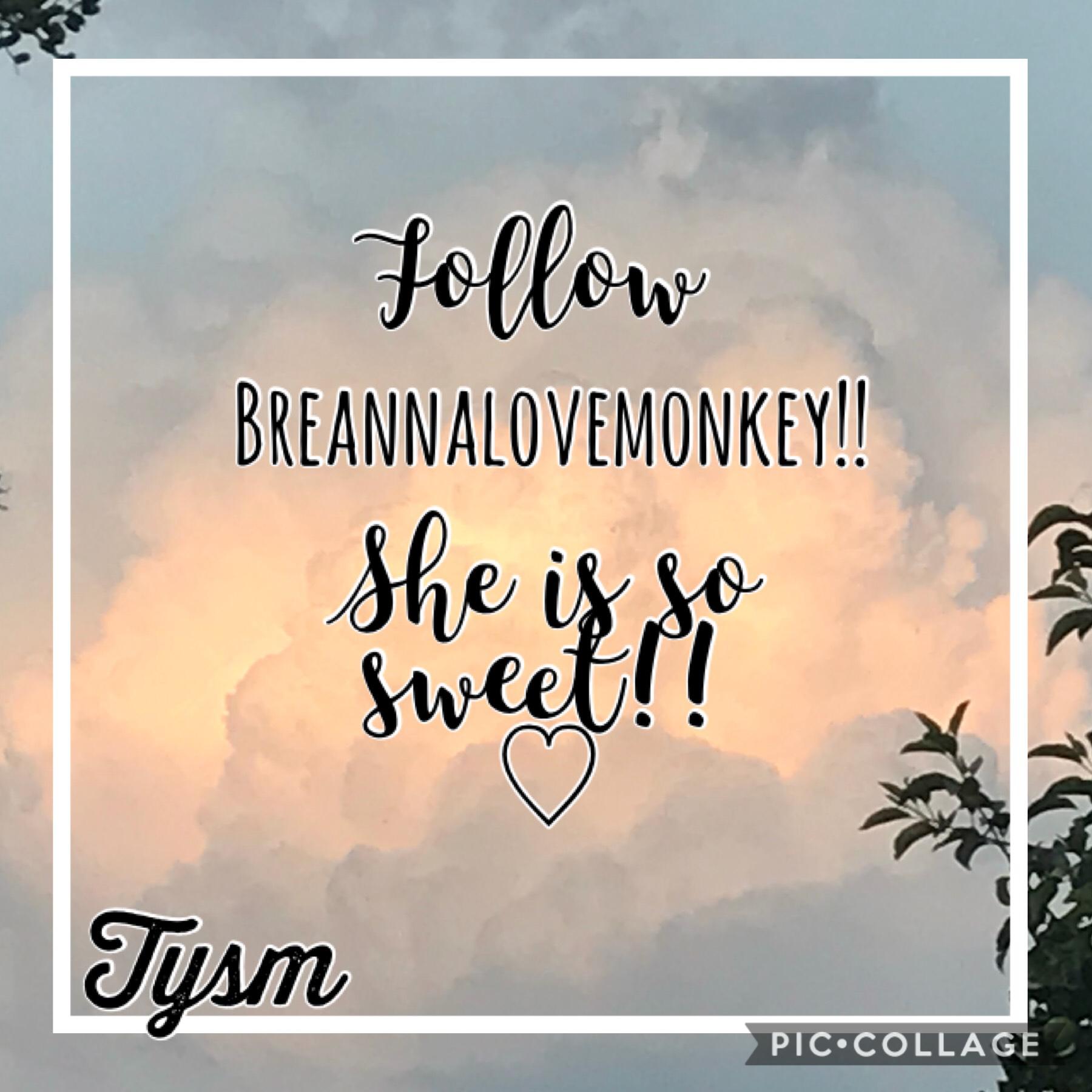 #followbreannalovemonkey