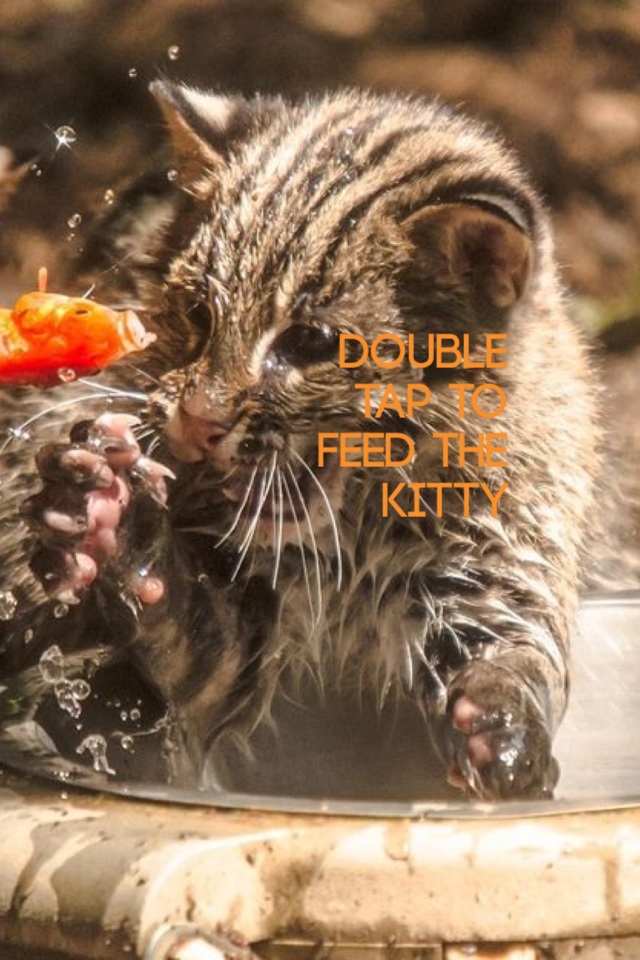 Double tap to feed the kitty