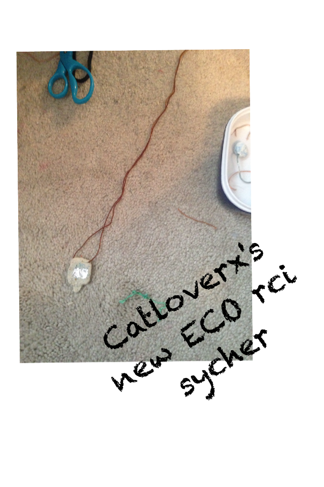 Catloverx's new ECO rci sycher 