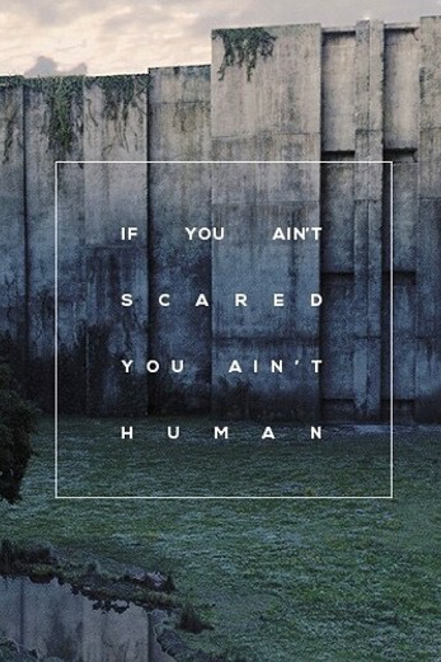 Quote from Maze Runner!