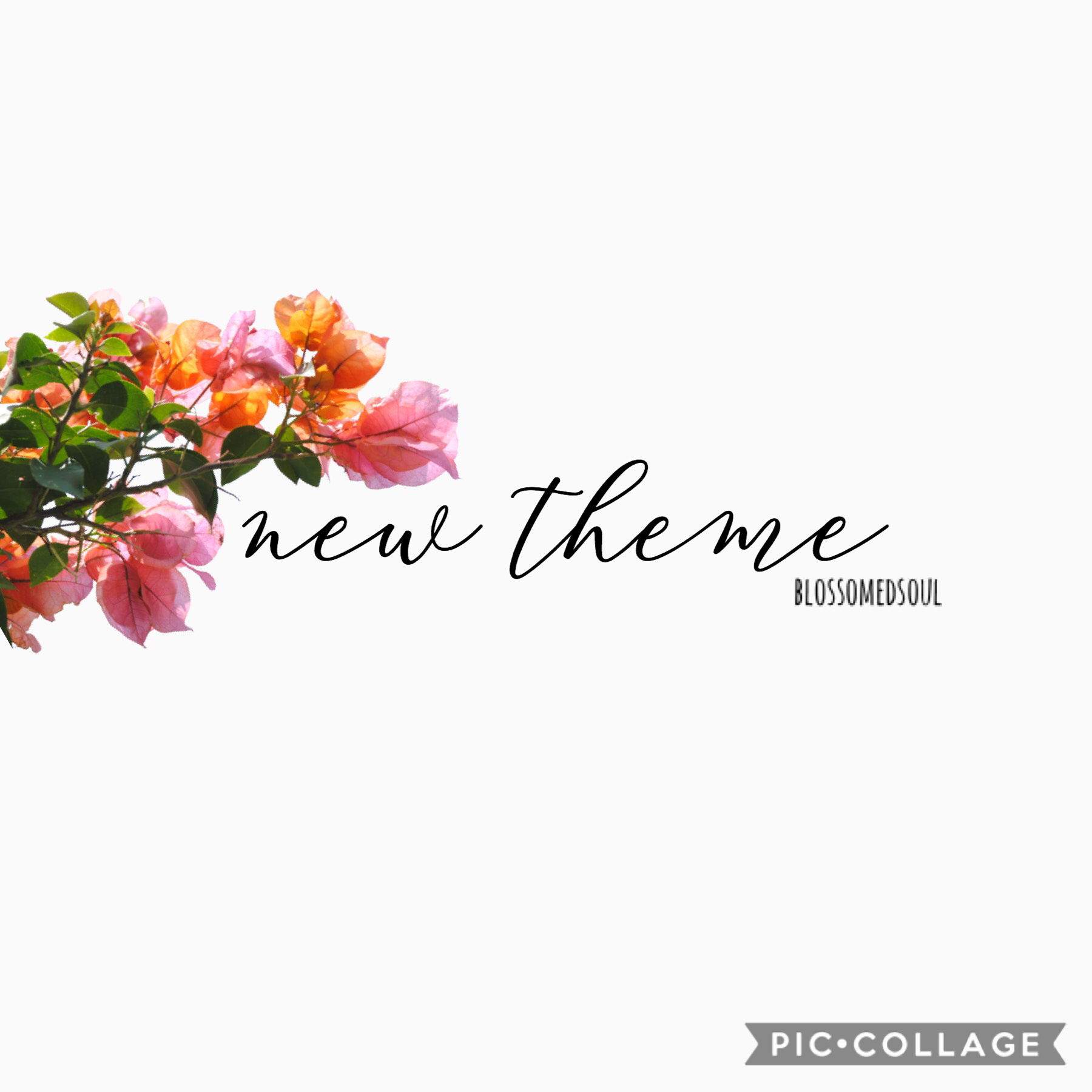 t a p

new theme! i got a little tired of the minimalist one so i’m trying something new ♥️✨🌿