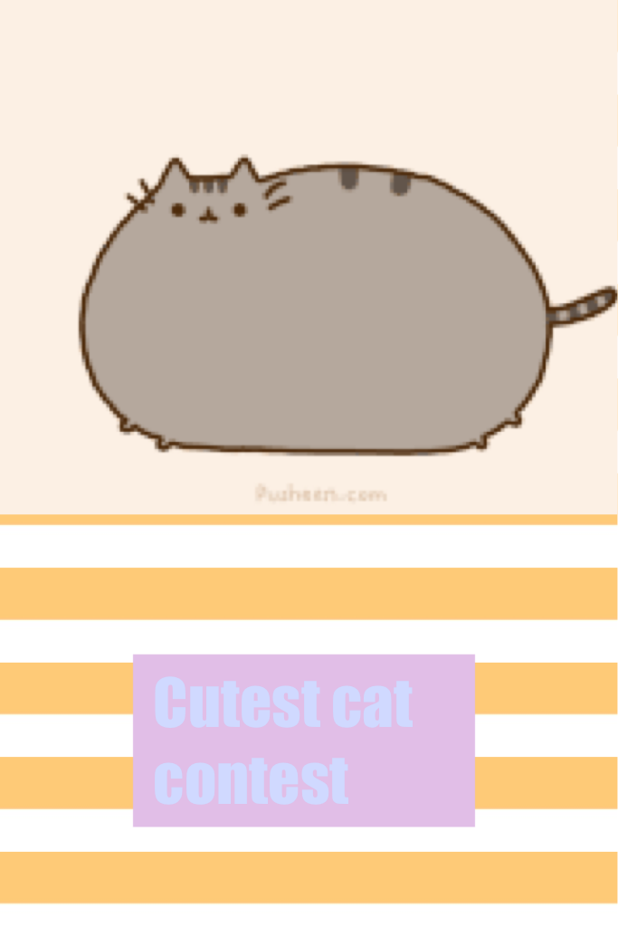 Cutest cat contest 