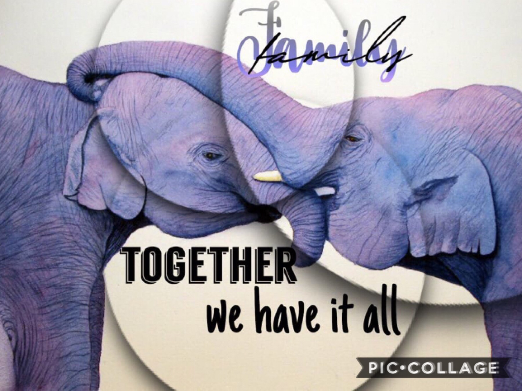 🐘Tap🐘

My entry to @Kanani_girl33’s contest on her newsletter. Go enter. 
QOTD: should I do a new theme every month
AOTD: idk tell me what you think 