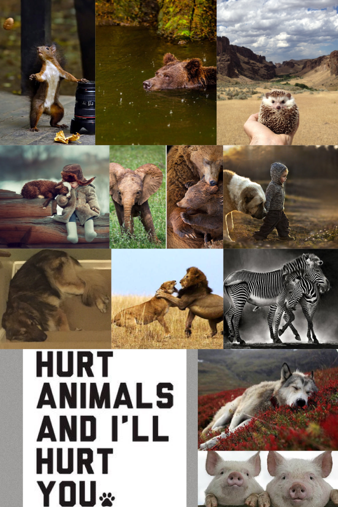 HURT ANIMALS AND ILL HURT YOU