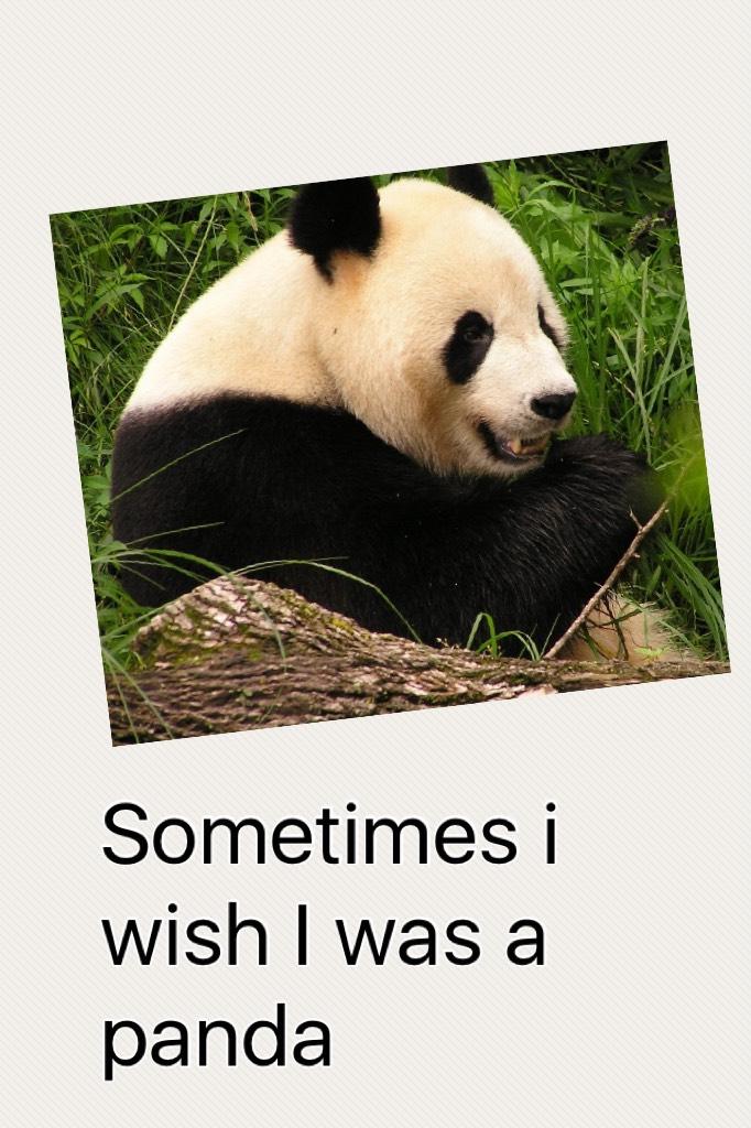Sometimes i wish I was a panda 