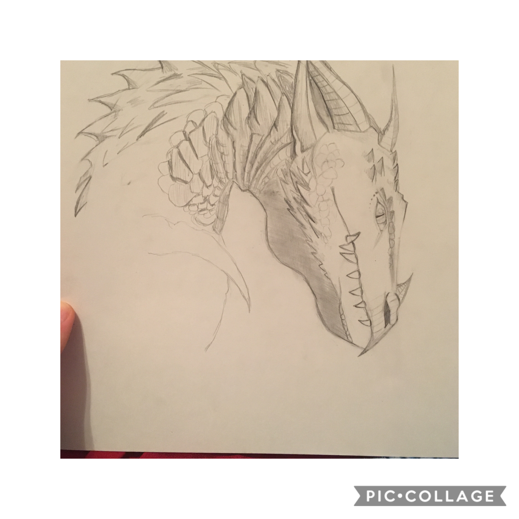 I’m back, it wasn’t very long I know but I realized I feel worse without having anyone to talk to. So here I am again. Also, here’s a dragon, his name is Nightwing and I will finish him soon.