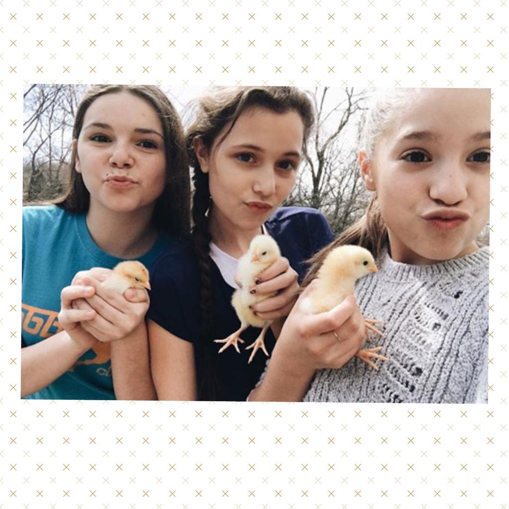 These chicks🤗🌸