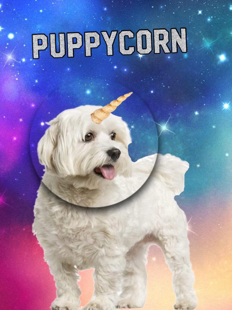 Puppycorn
