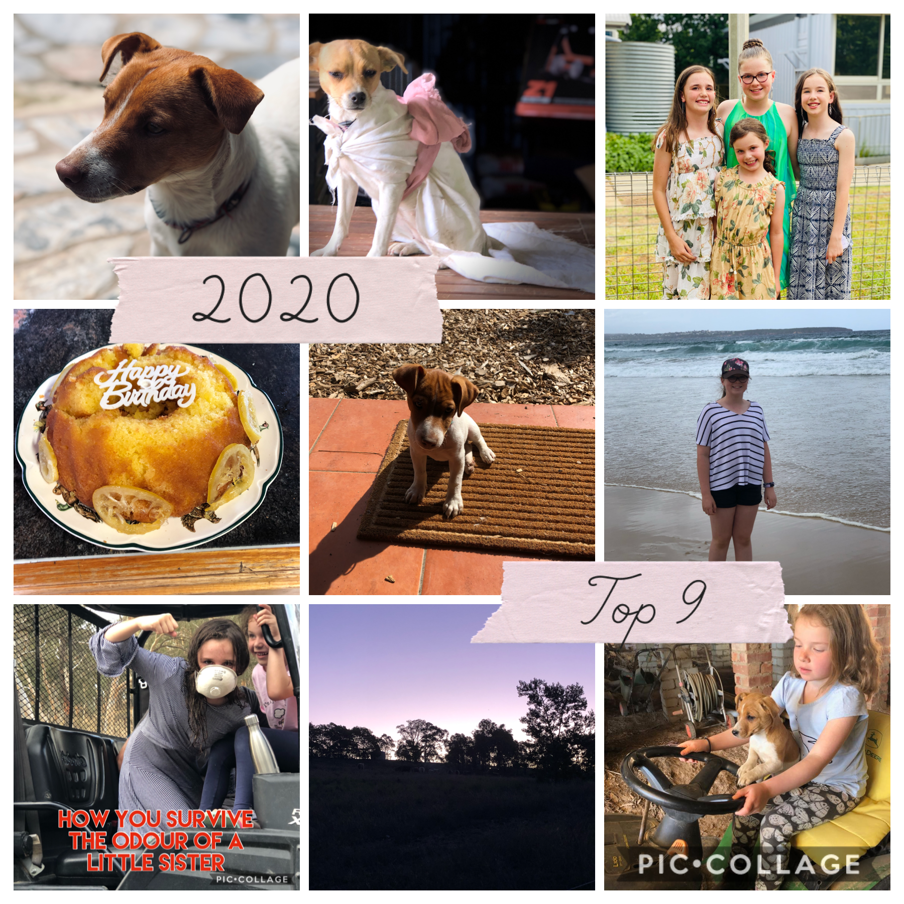 These are my top 9 pictures from 2020. Corona has been tough but we managed to stay strong. I am grateful that I was with my family all year. How do you feel about the year that has been and is almost gone?
#familytime

