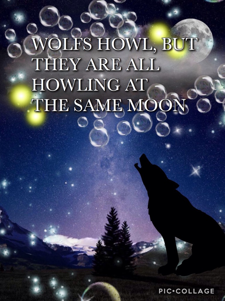 Wolfs Howl At The Same Moon★