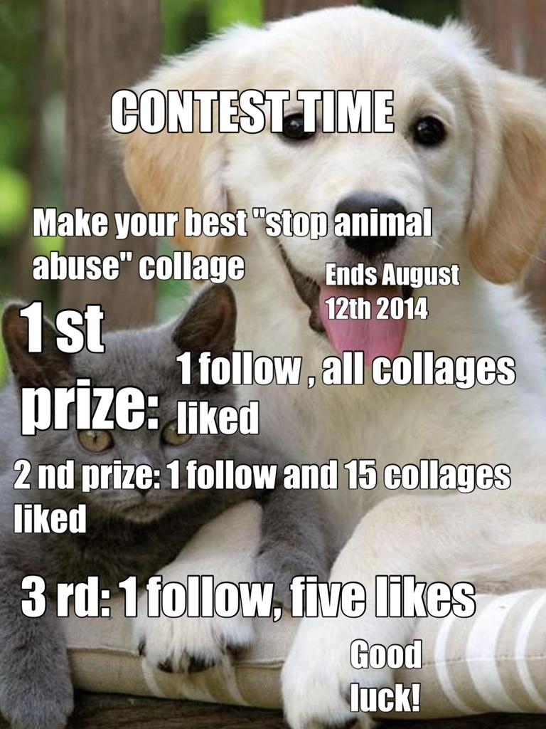 CONTEST TIME!