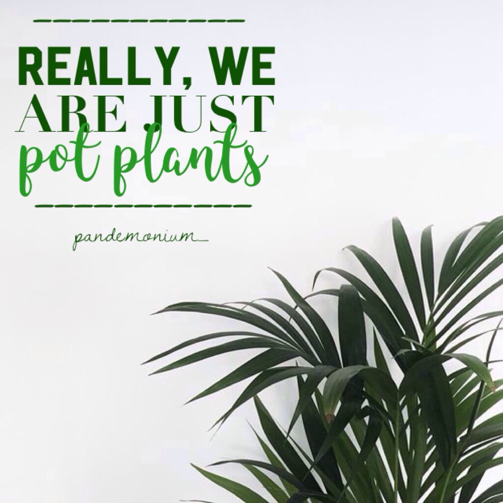 Pot Plants | #ryomak #pandemonium | quote