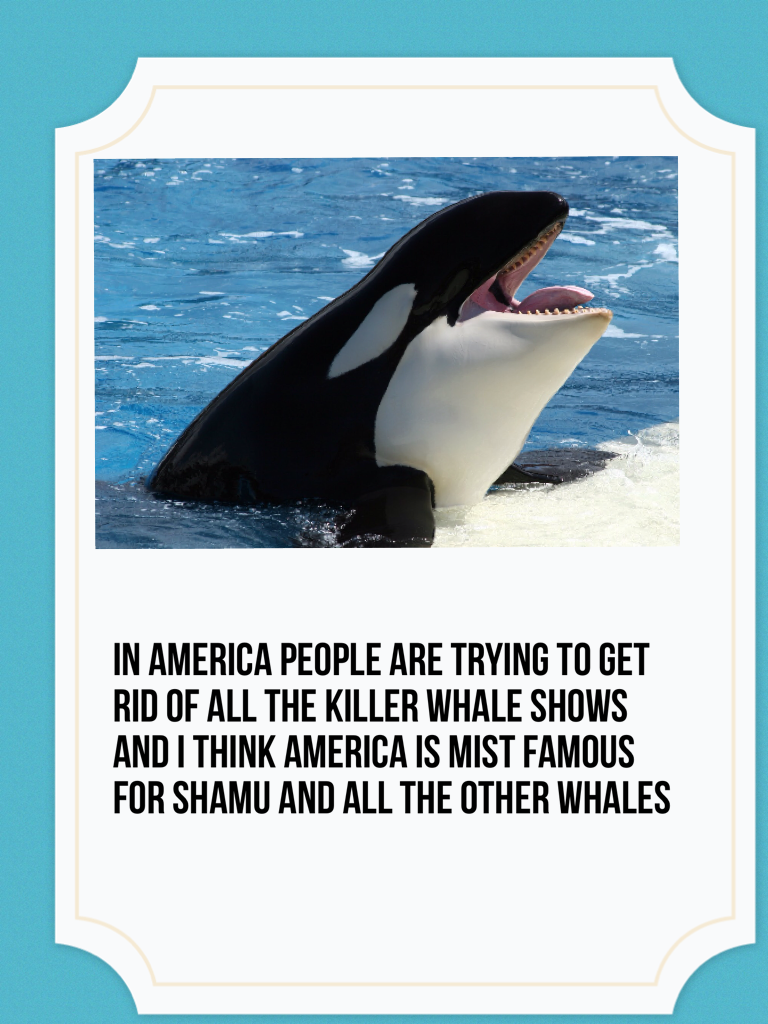 In America people are trying to get rid of all the killer whale shows and I think America is mist famous for shamu and all the other whales