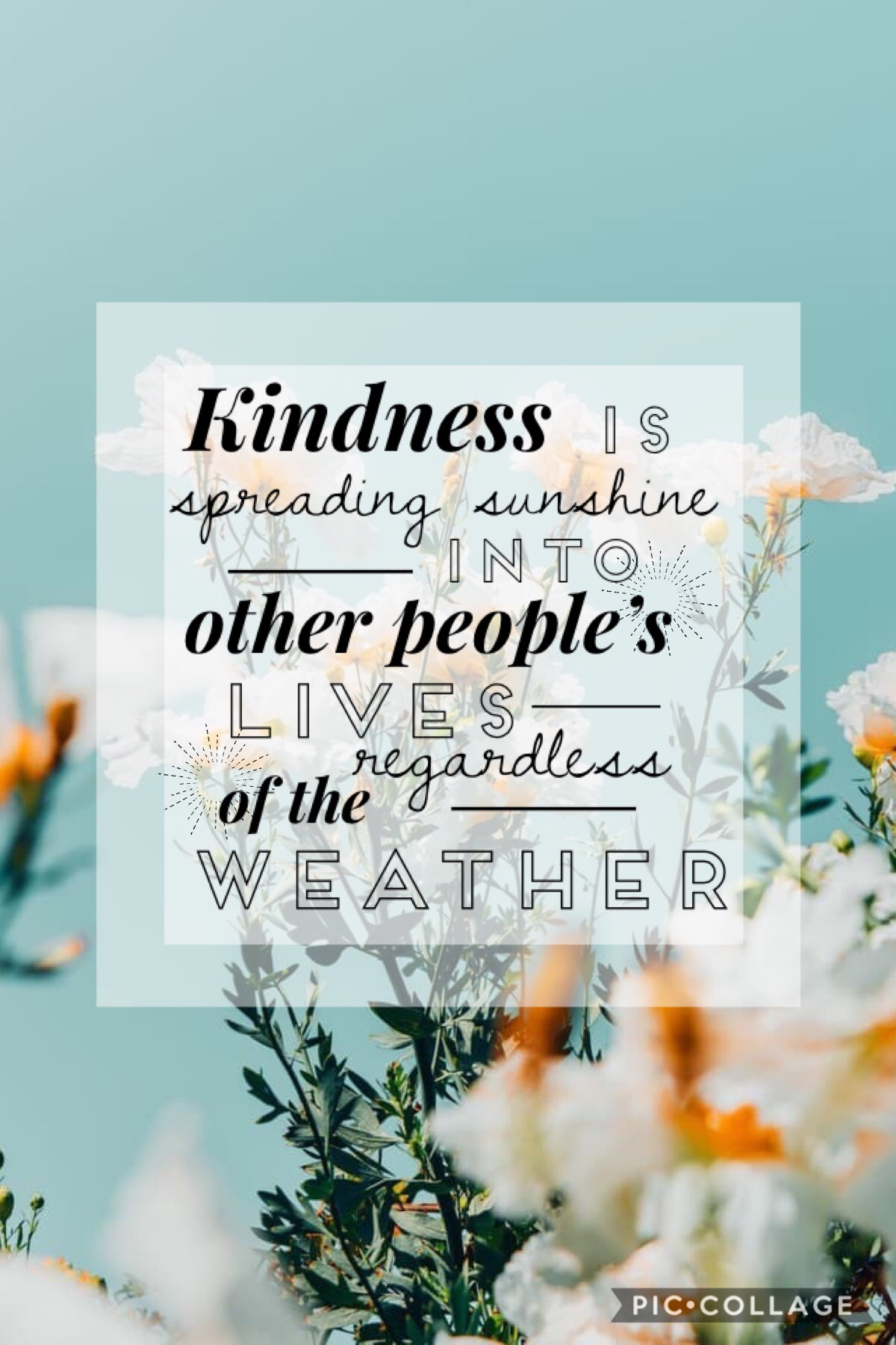 🌼Kindness🌼
Is spreading sunshine into other people’s lives regardless of the weather. 
☀️☀️☀️