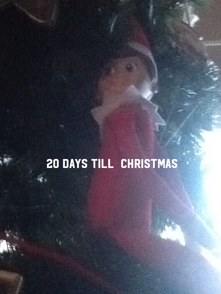 20 days till  christmas